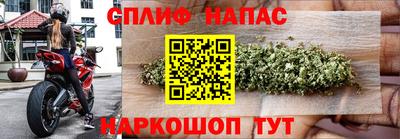 мяу мяу мука Абакан
