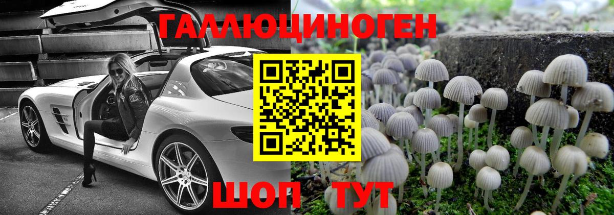 Галлюциногенные грибы GOLDEN TEACHER  Вход с VPN  Абинск  Псилоцибиновые грибы мицелий 